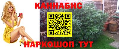 трава Гатчина