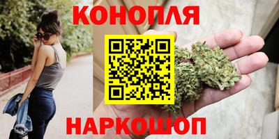 трава Гатчина