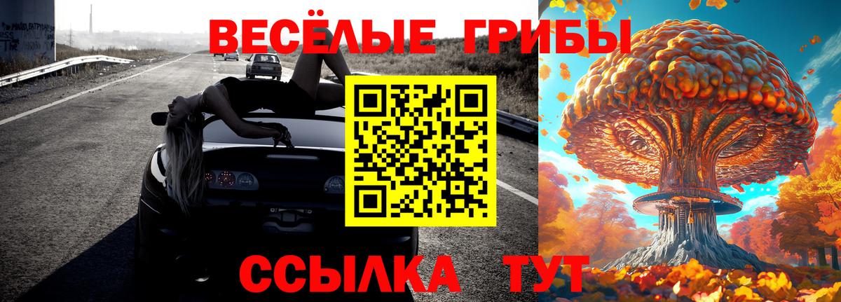 наркошоп  Псилоцибиновые грибы MAGIC MUSHROOMS  Вход с VPN  Волжск 