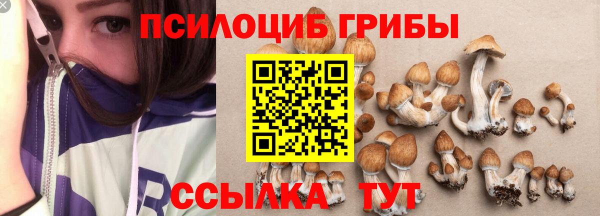 Галлюциногенные грибы Magic Shrooms Волжск